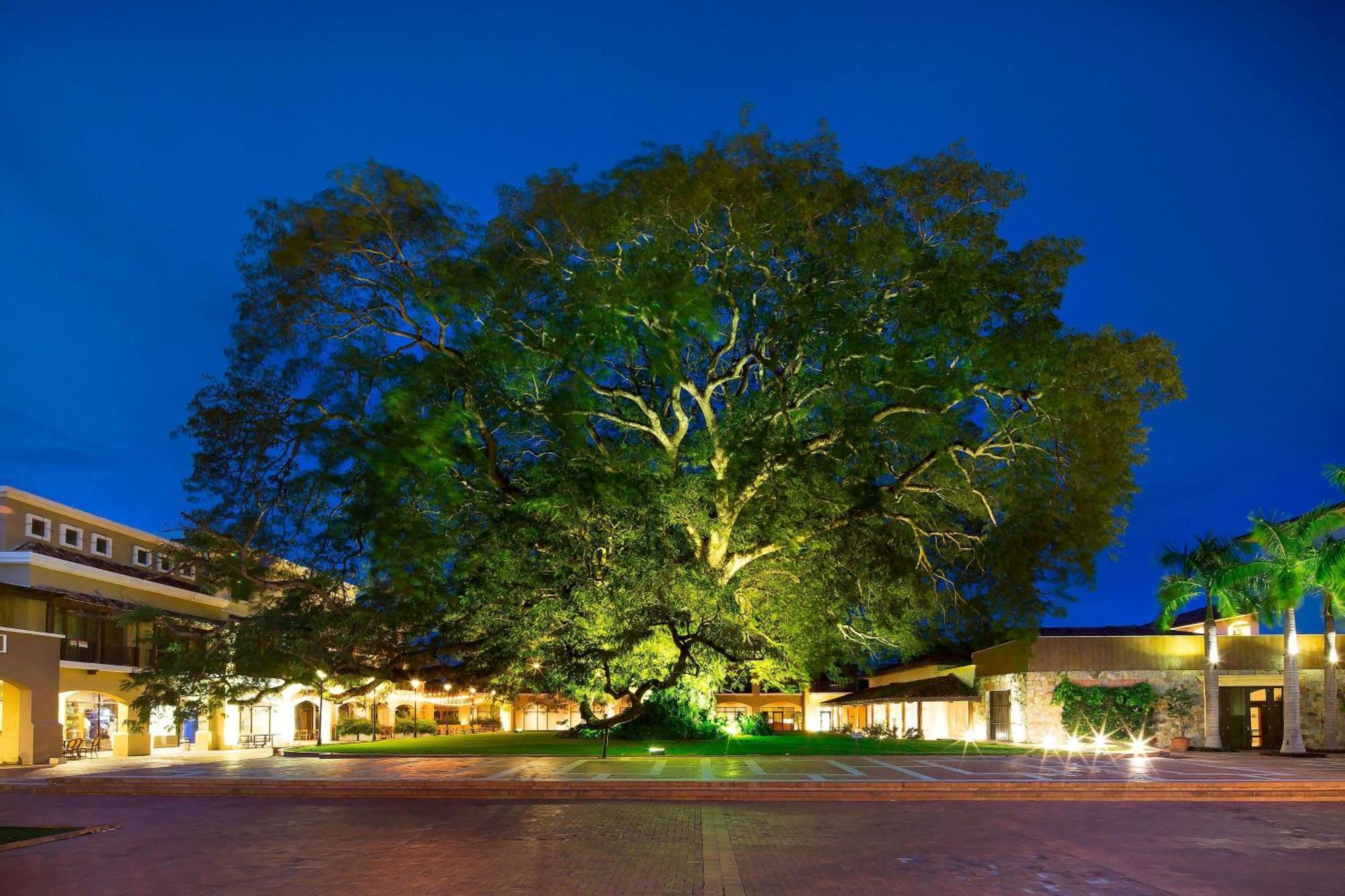 The Buenaventura Golf & Beach Resort, Autograph Collection Río Hato Kültér fotó